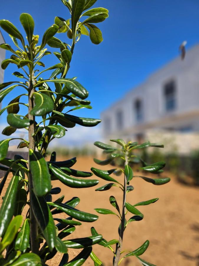 Bura House Villa Povljana Luaran gambar