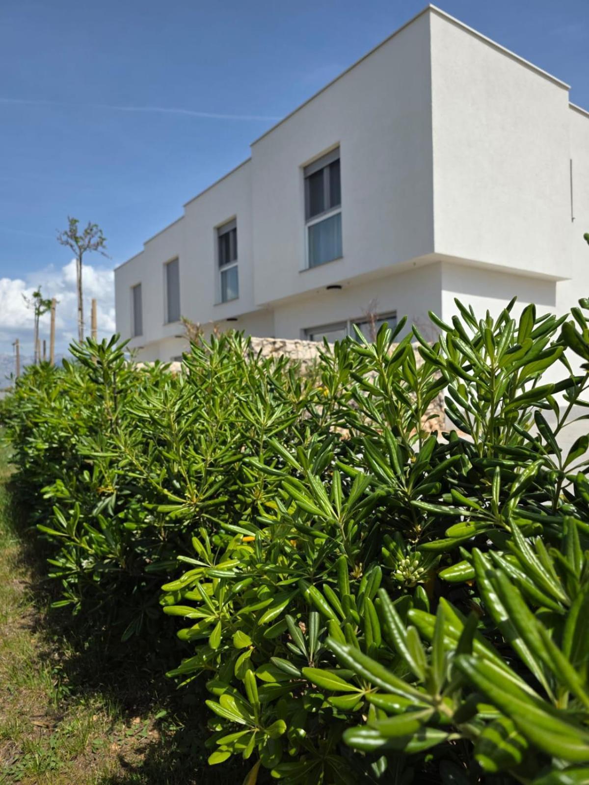 Bura House Villa Povljana Luaran gambar